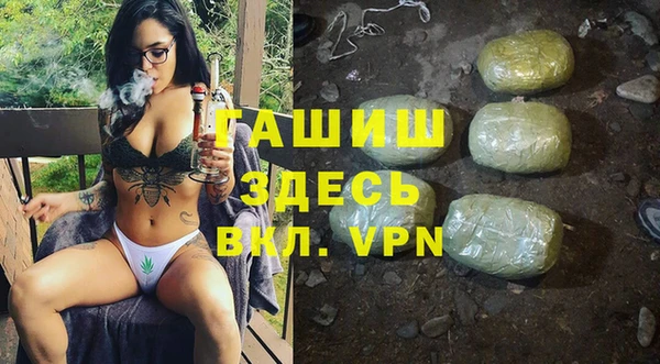сатива Новокубанск