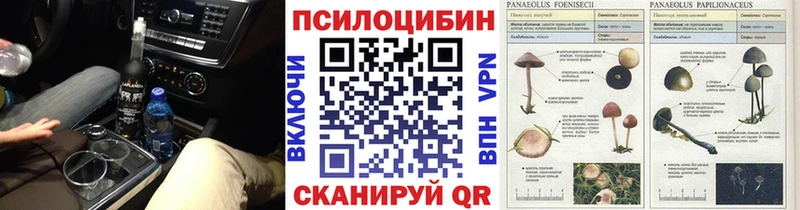 закладки  Аркадак  Псилоцибиновые грибы мухоморы 